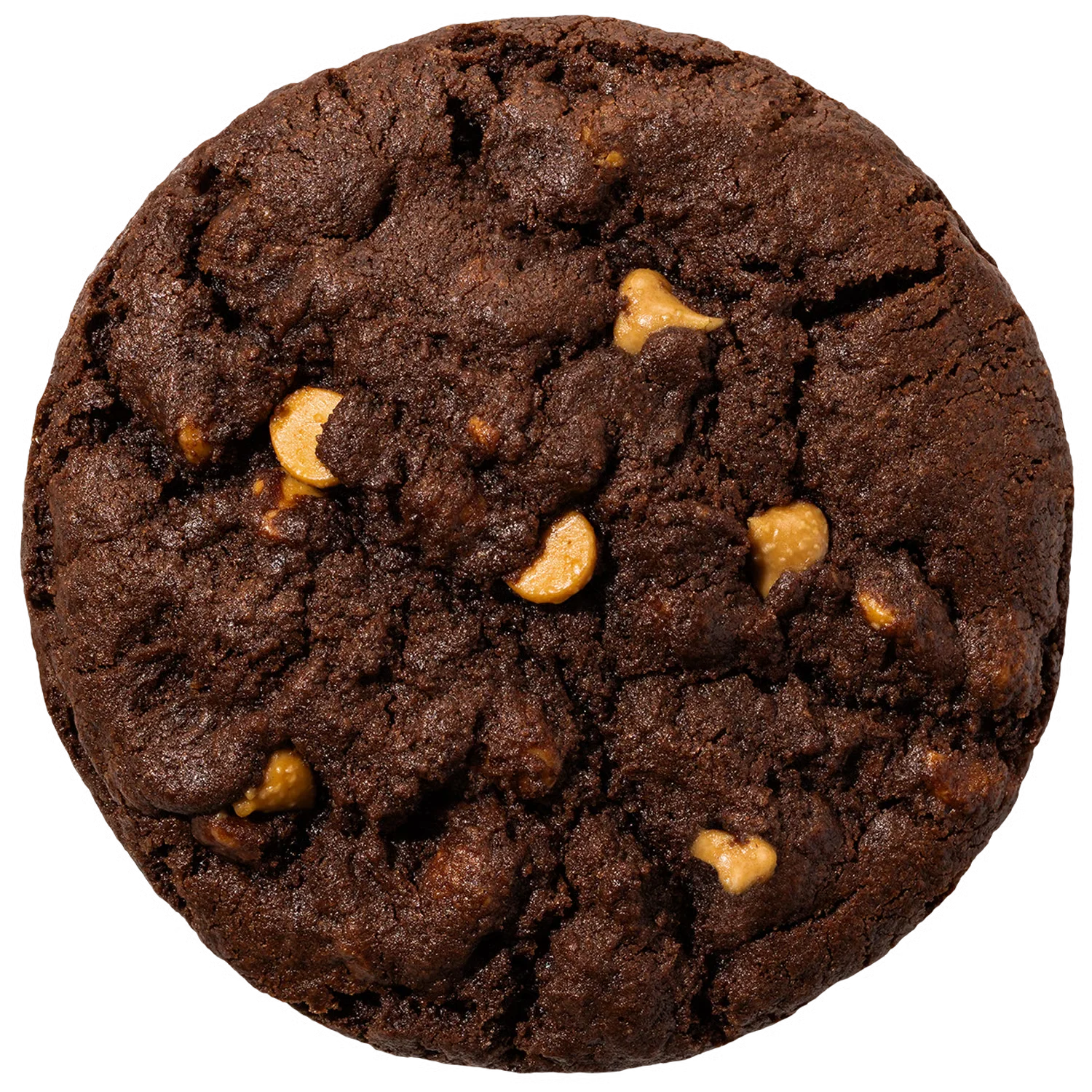 Chocolate Peanut Butter Chip Cookie